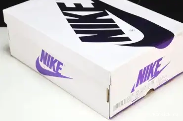 COURT PURPLE JORDAN WMNS 1 AIR 0506